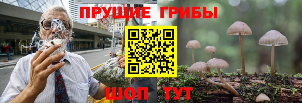 Галлюциногенные грибы мицелий  Вход с VPN  наркота  Кумертау  Галлюциногенные грибы GOLDEN TEACHER 